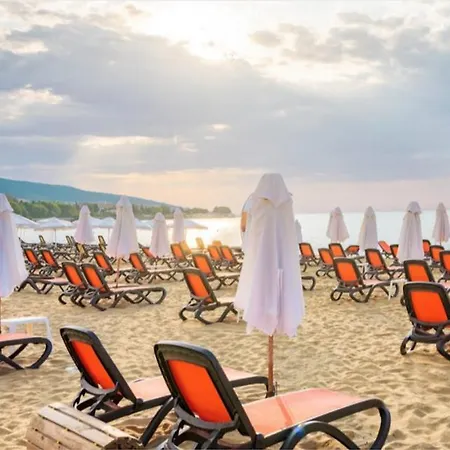 Royal Sun O 31 Royal Sun * Slăntjev Brjag