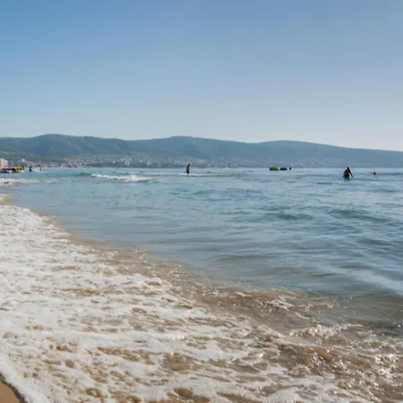 Royal Sun O 31 Royal Sun Slăntjev Brjag