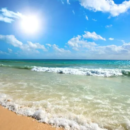 Royal Sun O 31 Royal Sun Apartamento